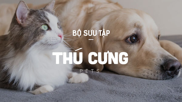 Thú cưng
